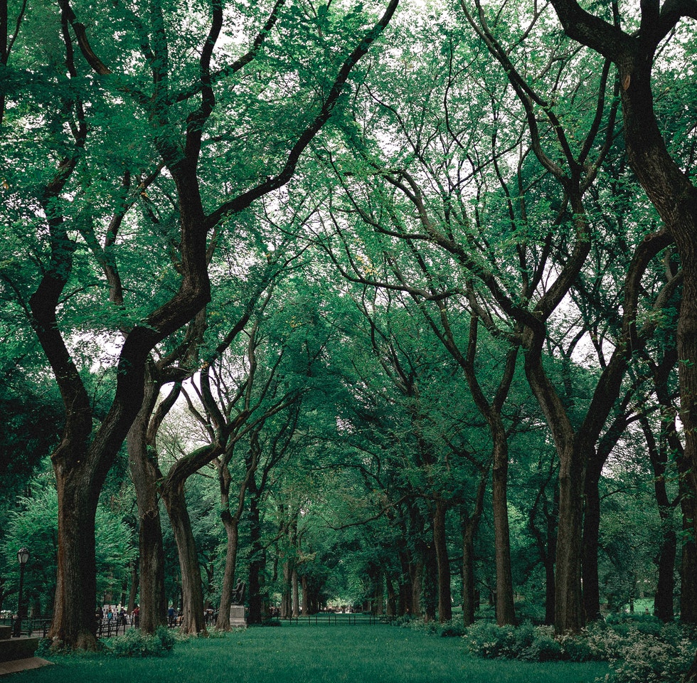 Portfolio Image